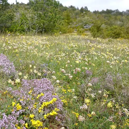 Hébergement de vacances Les Orchis